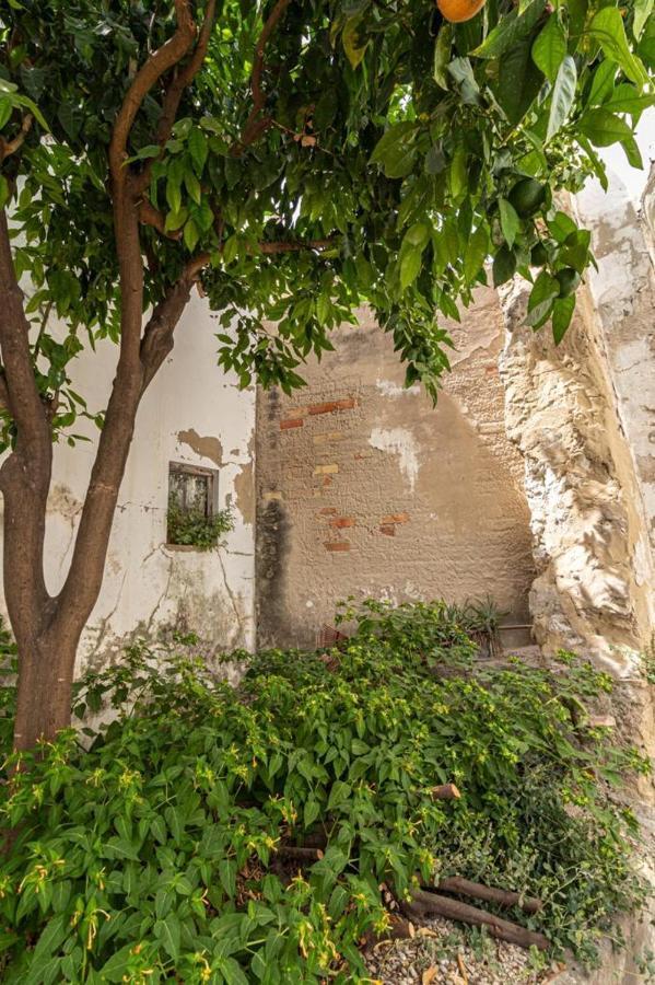 La Casa De Los Arcos - Casco Historico - Parking Opcional ヘレス エクステリア 写真